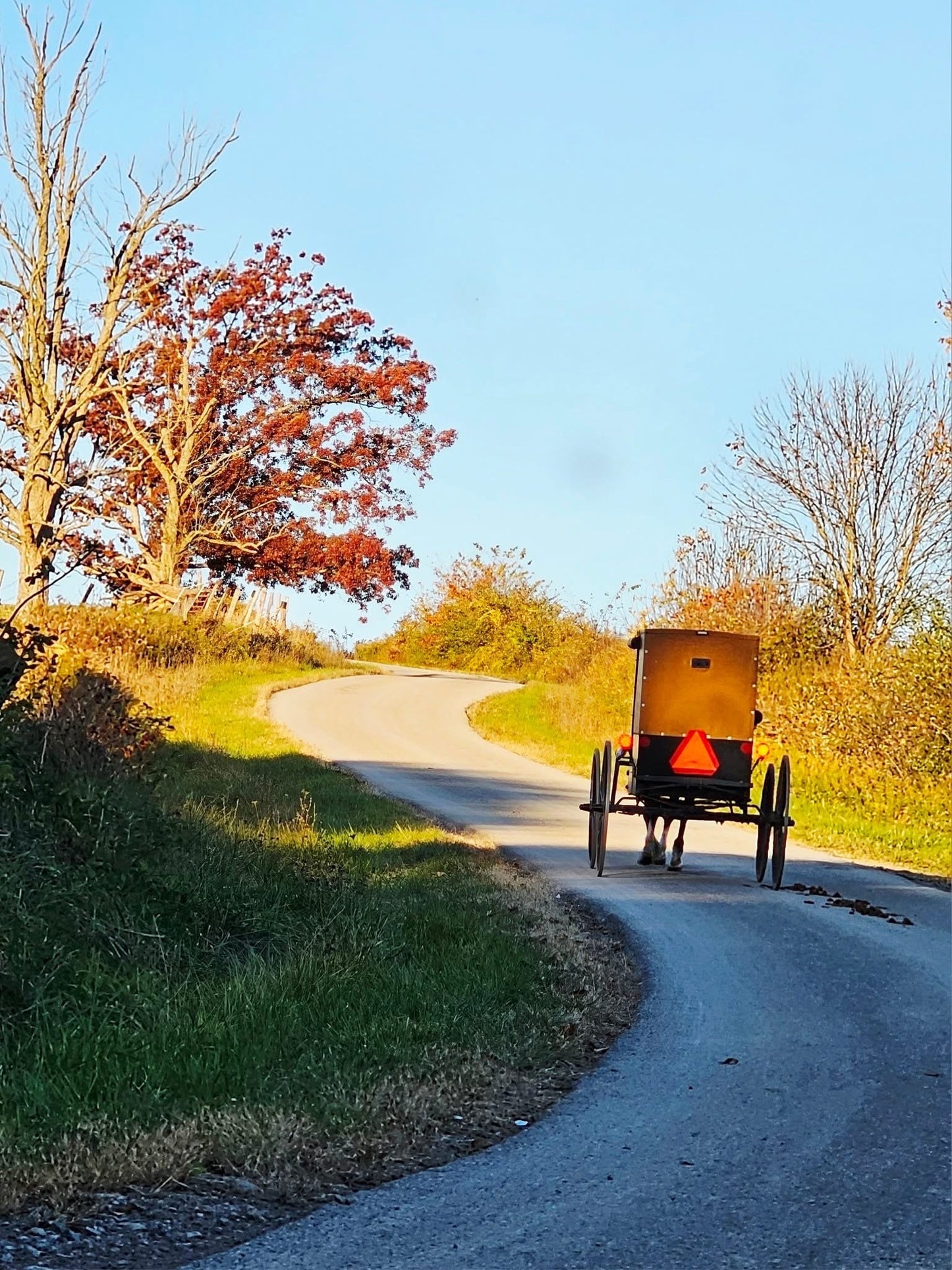 Amish Country Surprise Box (Not Christmas themed). Large size