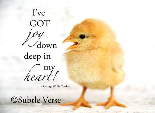 Chick - Magnet and Deluxe Magnet - Simple Life Amish Store