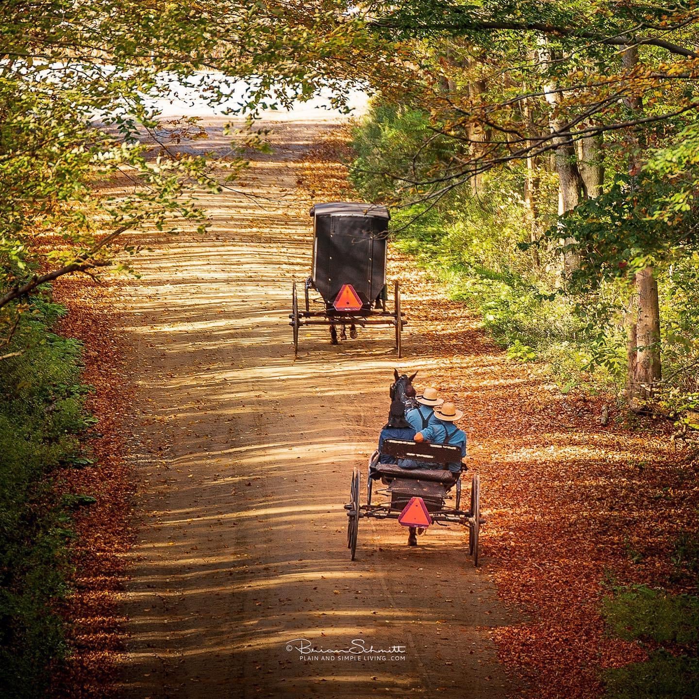 Calendar: Simple Life Amish Country Calendar - Simple Life Amish Store