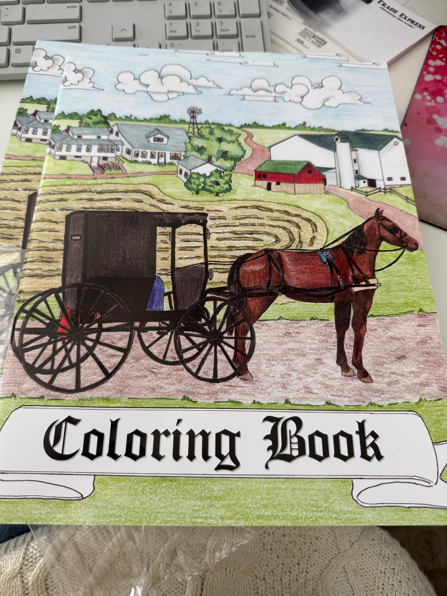 Amish coloring book - Simple Life Amish Store