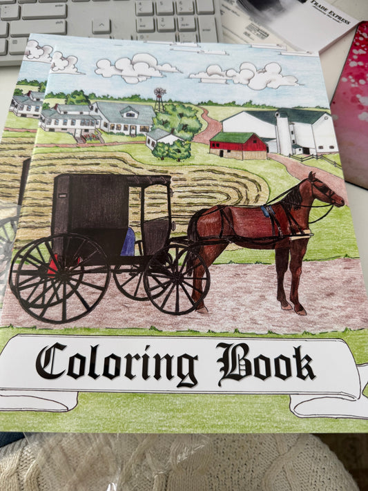Amish coloring book - Simple Life Amish Store