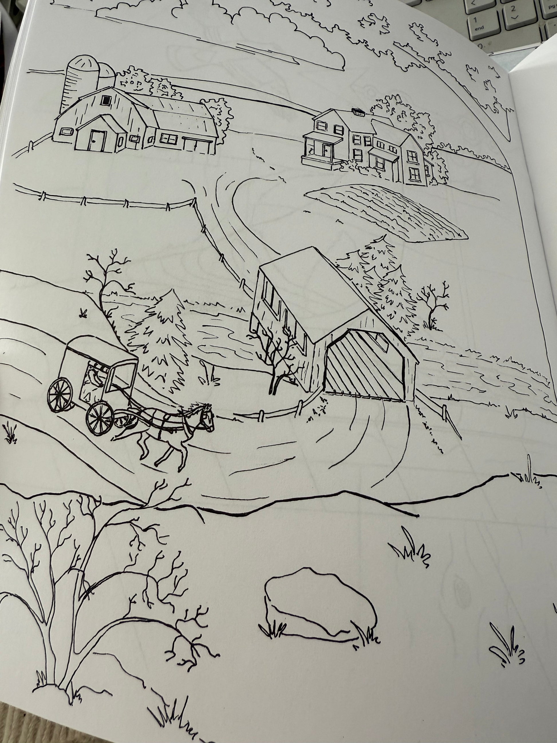 Amish coloring book - Simple Life Amish Store