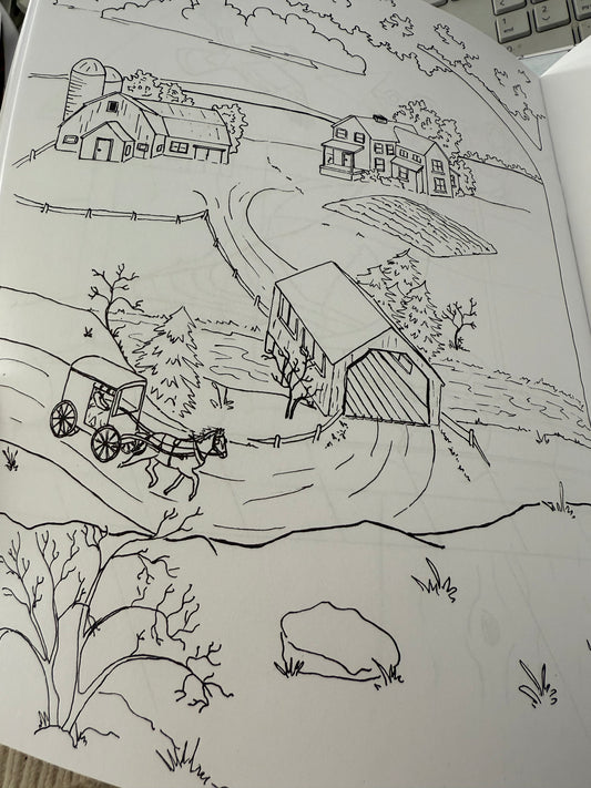 Amish coloring book - Simple Life Amish Store