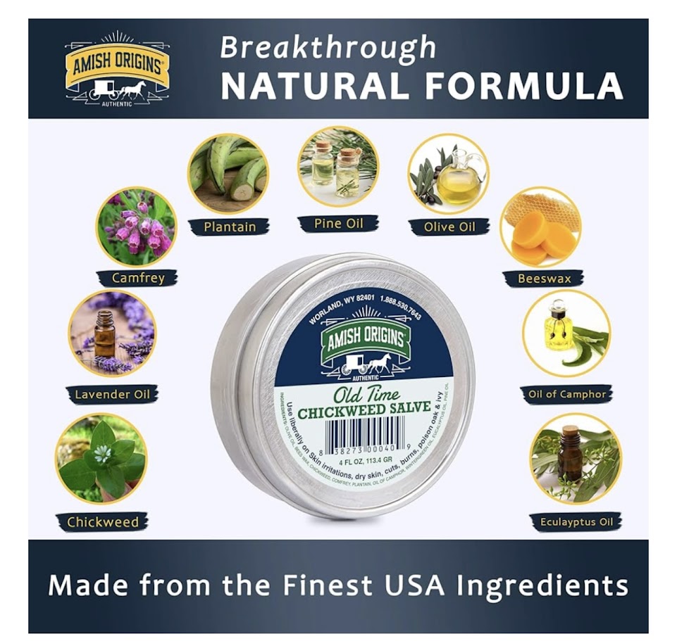 Amish Origins Old Time Chickweed Salve (4 oz tin) - Simple Life Amish Store