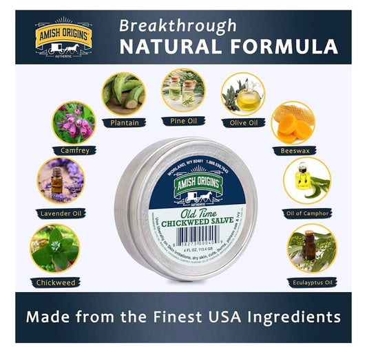 Amish Origins Old Time Chickweed Salve (4 oz tin) - Simple Life Amish Store
