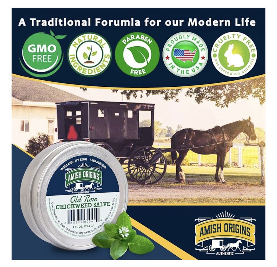 Amish Origins Old Time Chickweed Salve (4 oz tin) - Simple Life Amish Store