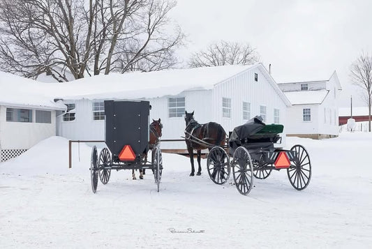 Welcome to our the Simple Life Amish Store