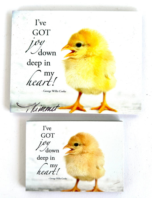 Chick - Magnet and Deluxe Magnet - Simple Life Amish Store