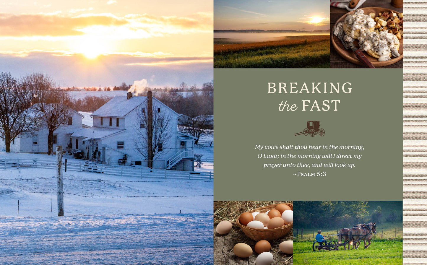 The Heart of the Amish Cookbook