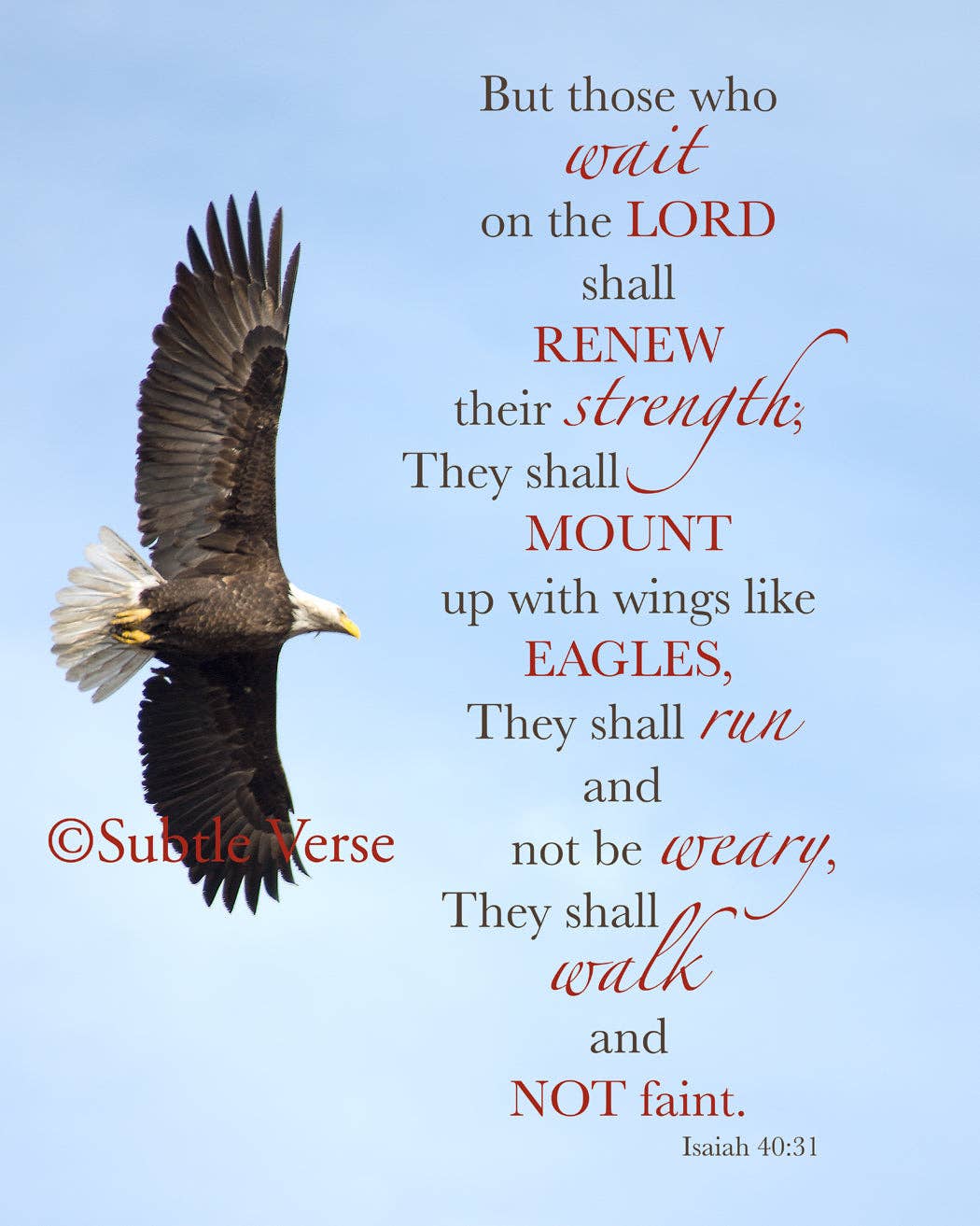 Eagle Wings - Magnet and Deluxe Magnet - Simple Life Amish Store