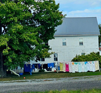 Goat Milk Soap (Amish handmade) - Simple Life Amish Store