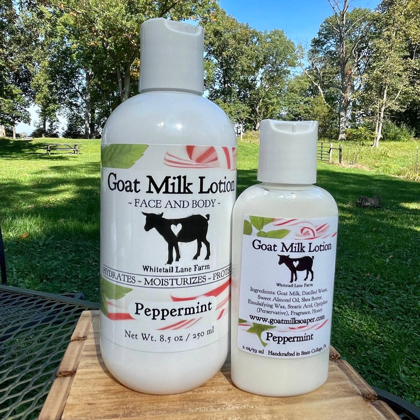 Goat Milk Lotion - Peppermint Twist Holiday Collection
