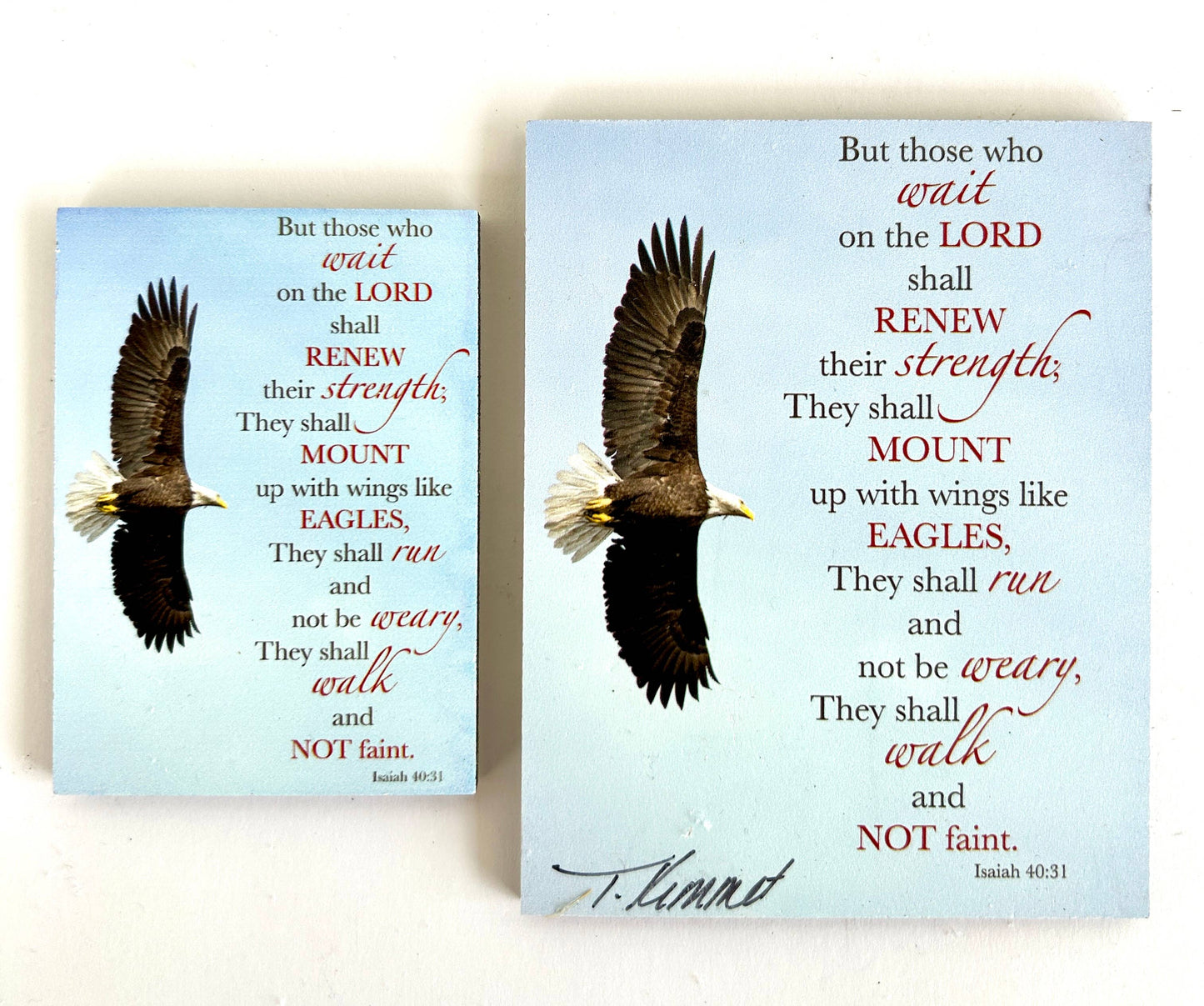 Eagle Wings - Magnet and Deluxe Magnet - Simple Life Amish Store