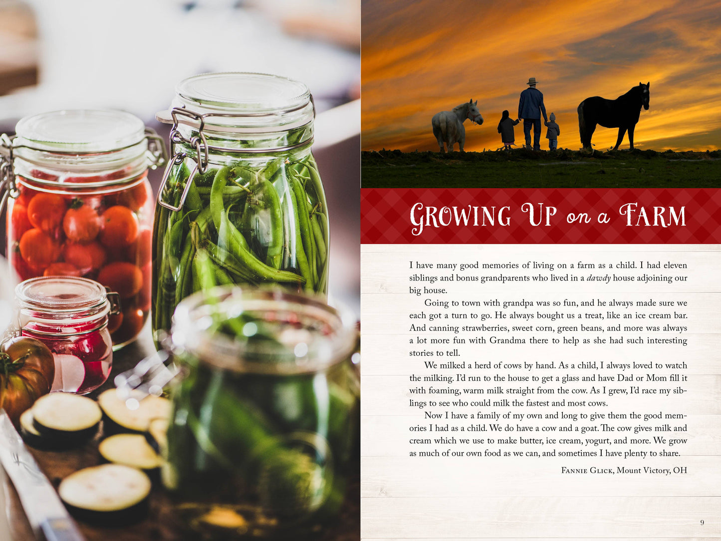Wanda E. Brunstetter's Amish Friends Farm-to-Table Cookbook - Simple Life Amish Store