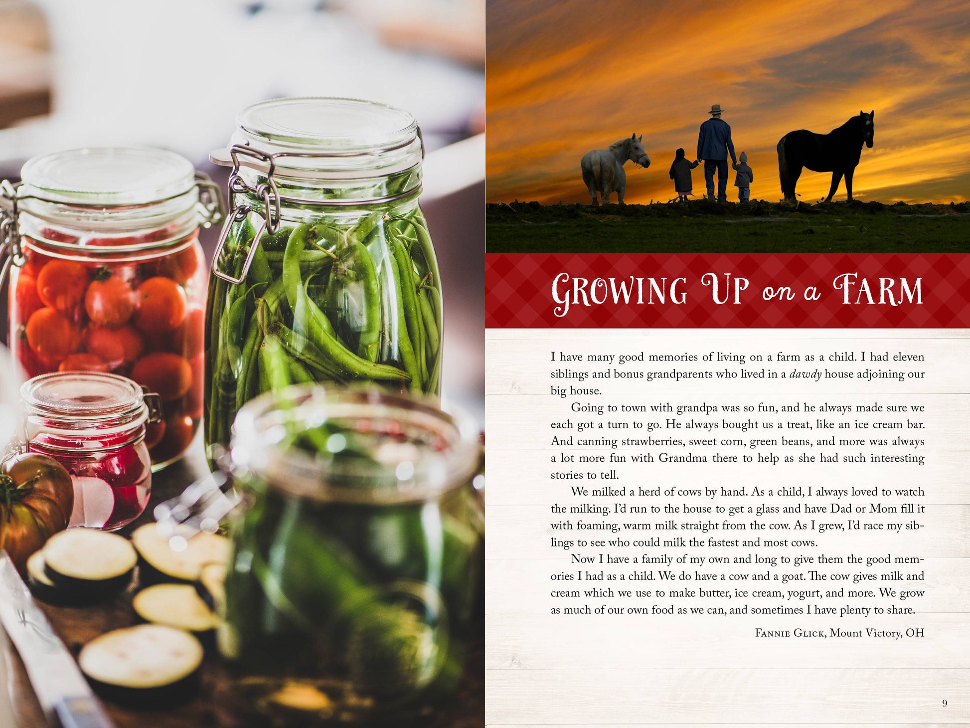 Wanda E. Brunstetter's Amish Friends Farm-to-Table Cookbook - Simple Life Amish Store