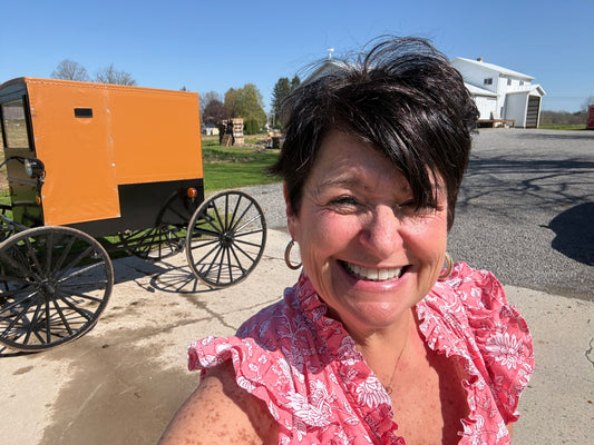 Hand made horse and buggy (  New Wilmington) - Simple Life Amish Store