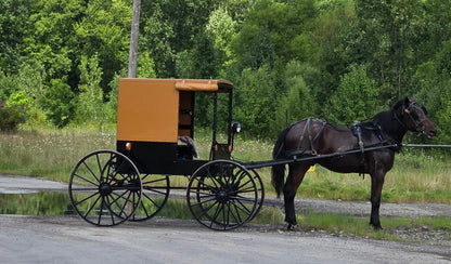 Hand made horse and buggy (  New Wilmington) - Simple Life Amish Store